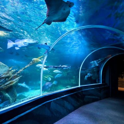 Sea Life Aquarium - Gardaland